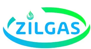 Zilgas